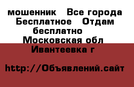 мошенник - Все города Бесплатное » Отдам бесплатно   . Московская обл.,Ивантеевка г.